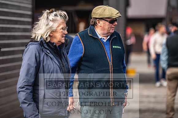 Goffs UK Spring Sale 2024-53