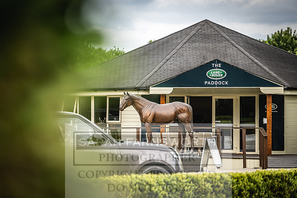 Goffs Land Rover Sale 2022-406