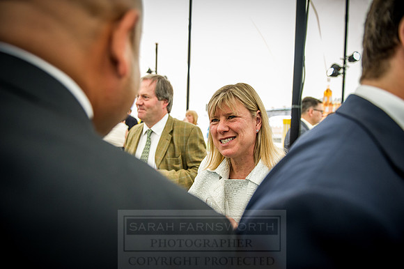 Goffs London Sale 2016-225