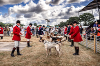 Honiton Hound Show 2022-8