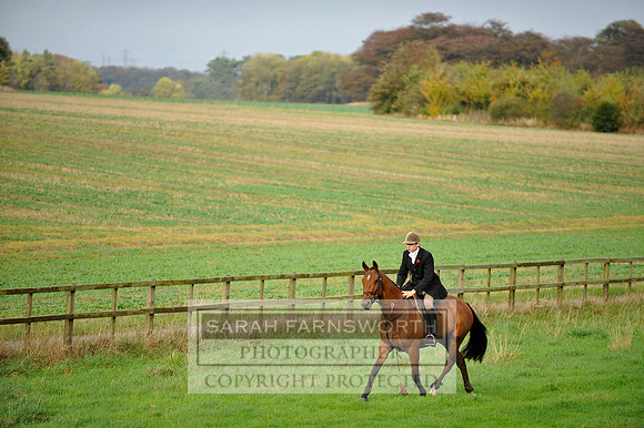 Brocklesby 021113 CF3 1026