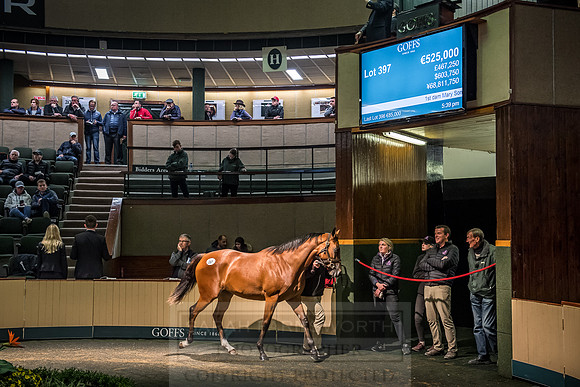 Goffs Orby 2018 Day 2-222
