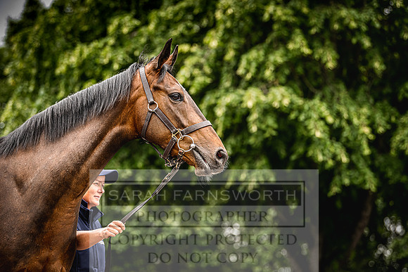 Goffs Land Rover Sale 2022-230