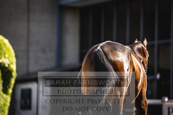 Goffs Land Rover Sale 2022-141