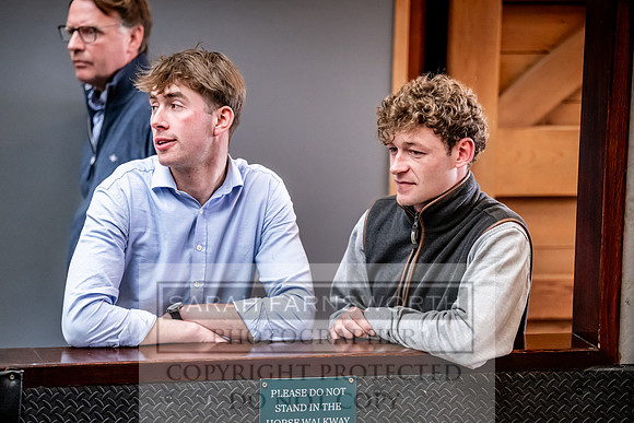 Goffs UK Spring Sale 2024-131