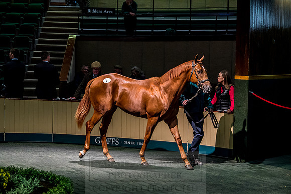 Goffs Orby 2018 Day 1-153