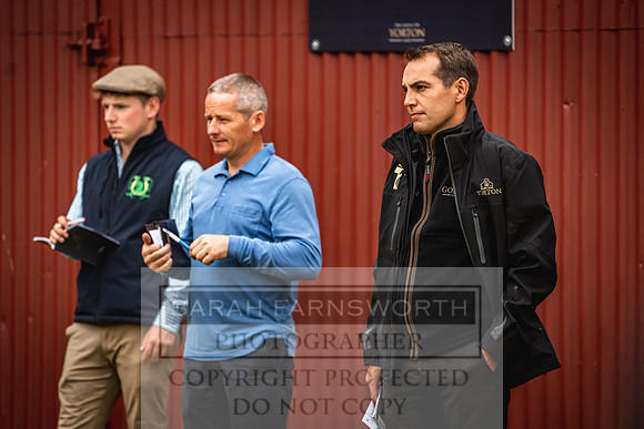 Goffs Yorton Sale 2022-96