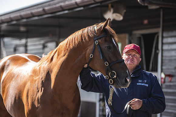 Goffs UK Breeze Up 2022-185