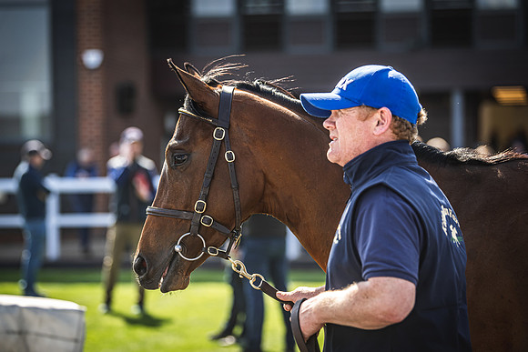 Goffs UK Breeze Up 2022-329
