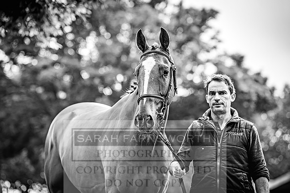Goffs Land Rover Sale 2022-36