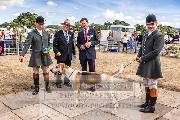 Honiton Hound Show 2022-67