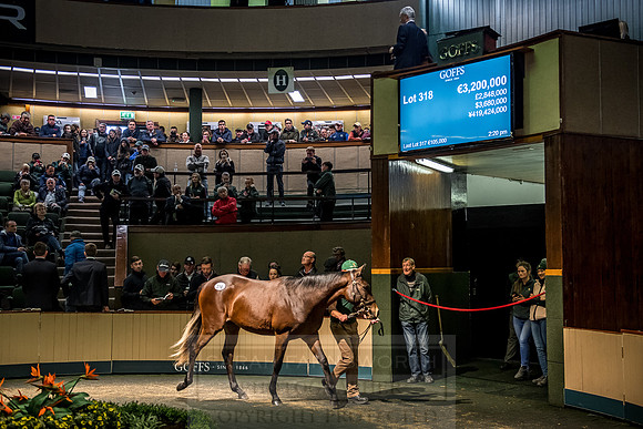 Goffs Orby 2018 Day 2-180