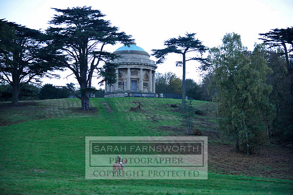 Brocklesby 021113 CF3 1577