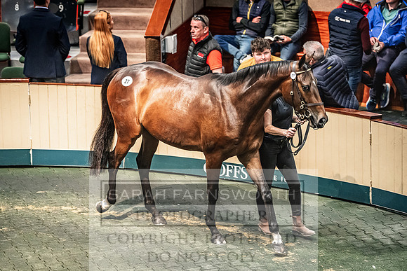 Goffs Land Rover Sale 2022-207