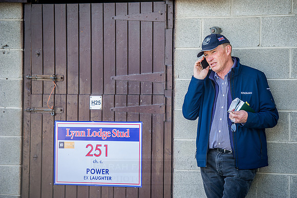 Goffs Orby 2015 -308
