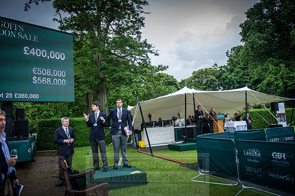Goffs London Sale 2016-389