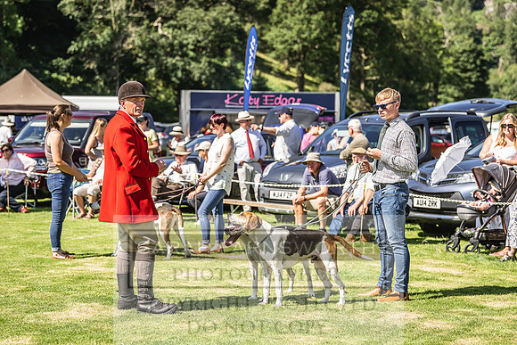 Rydal Hound Show 2022-59