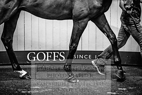 Goffs Land Rover Sale 2022-619