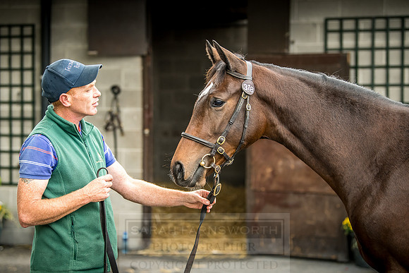 Goffs Orby 2018 Day 2-86