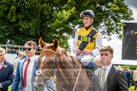 GUK Goodwood Sale 2019-19