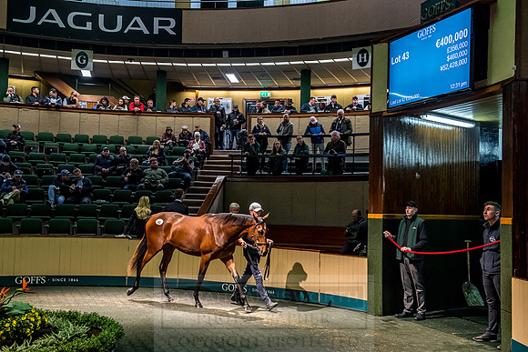 Goffs Orby 2018 Day 1-242