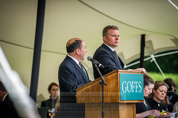 Goffs London Sale 2016-255