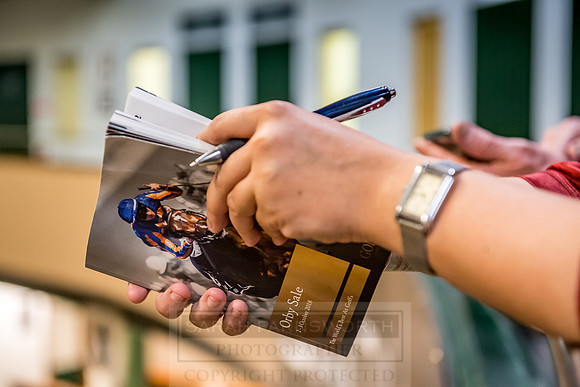 Goffs Orby 2018 Day 2-79