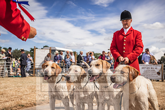 Honiton Hound Show 2022-115