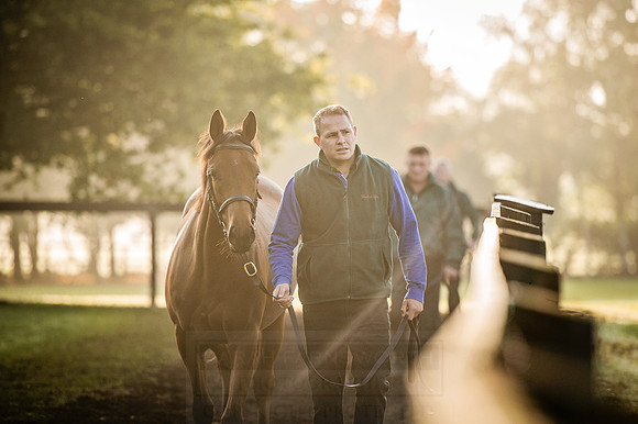 Goffs Orby 2015 -469