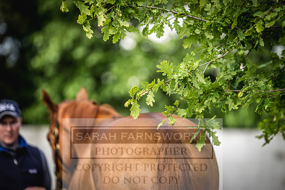 Goffs Land Rover Sale 2022-170