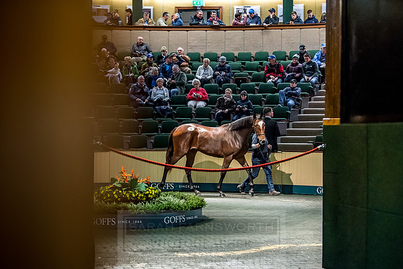 Goffs Orby 2018 Day 1-189