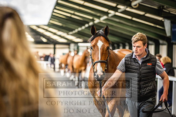 Goffs Land Rover Sale 2022-175
