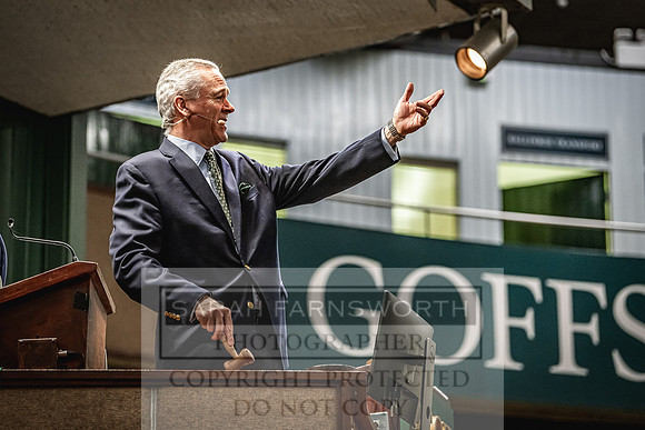 Goffs Land Rover Sale 2022-218