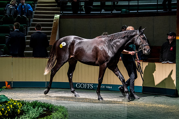 Goffs Orby 2018 Day 1-256