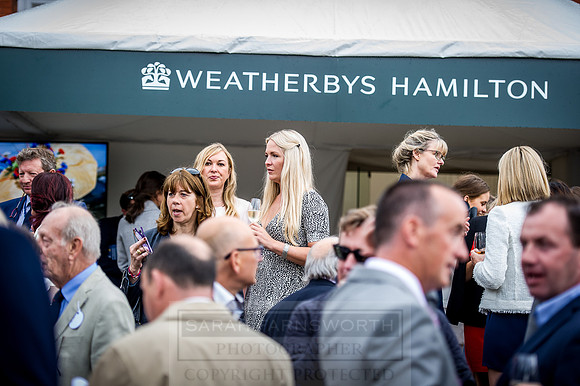Goffs London Sale 2016-203
