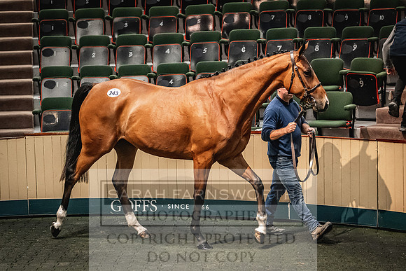 Goffs Land Rover Sale 2022-561