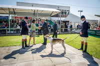 Ardingly Foxhounds 2015-17