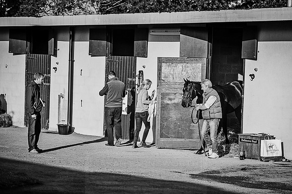 Goffs Orby 2015 -489 bw
