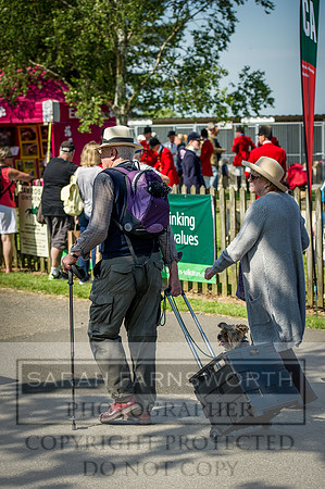 Ardingly Foxhounds 2015-13
