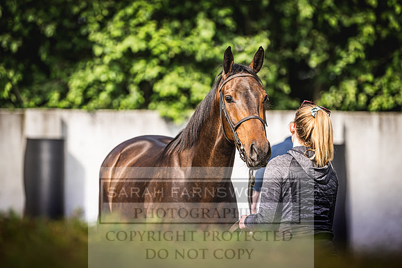 Goffs Land Rover Sale 2022-157