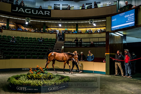 Goffs Orby 2018 Day 1-147