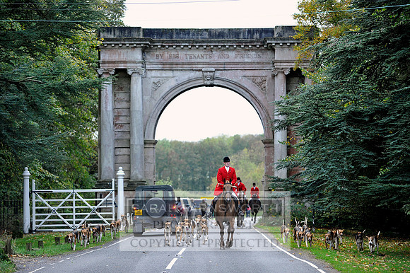 Brocklesby 021113 CF3 1159