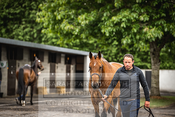 Goffs Land Rover Sale 2022-306