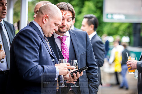 Goffs London Sale 2016-190