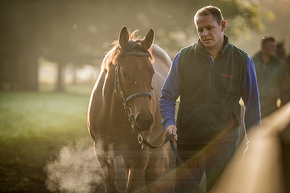 Goffs Orby 2015 -475