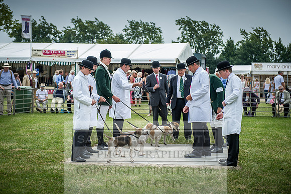 PFoH 2016-337