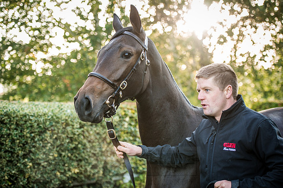 Goffs Orby 2015 -147