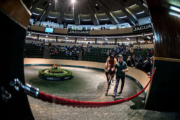 Goffs Orby 2018 Day 1-280
