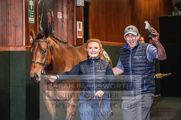 Goffs Land Rover Sale 2022-647