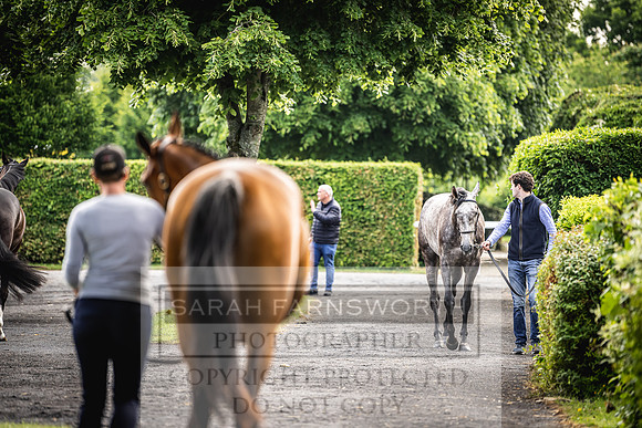 Goffs Land Rover Sale 2022-50